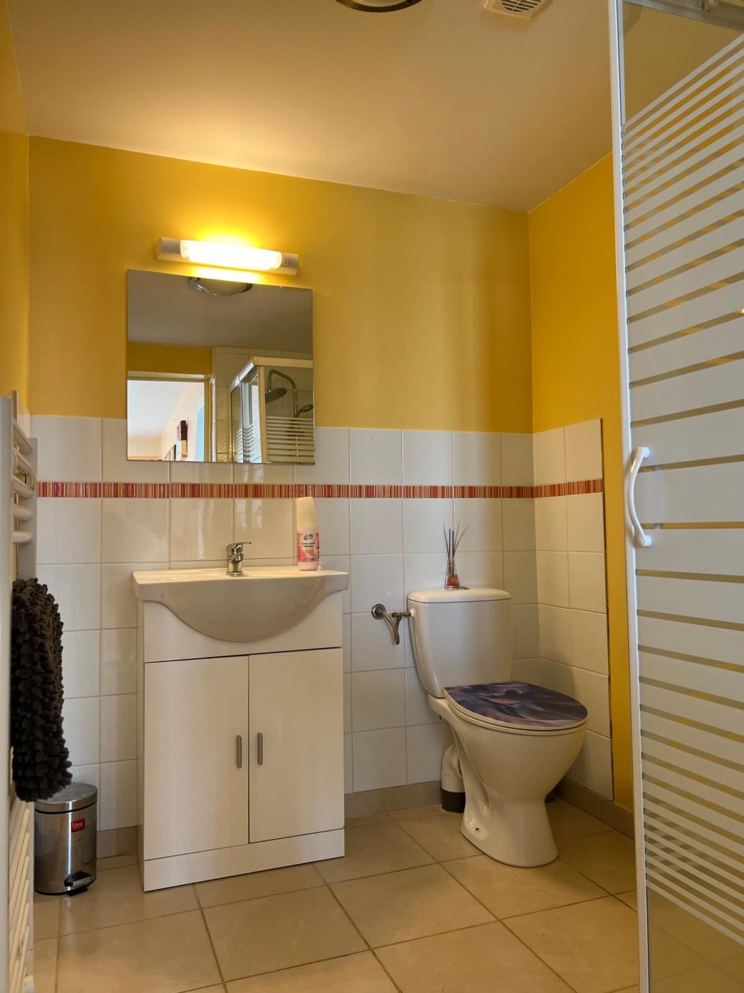 Gite Du St Martin Apartment Oradour-Fanais Exterior foto